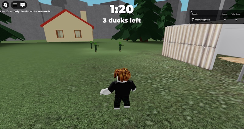 Get The Ducks In! screenshot
