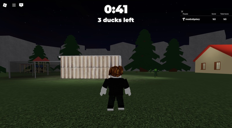 Get The Ducks In! screenshot